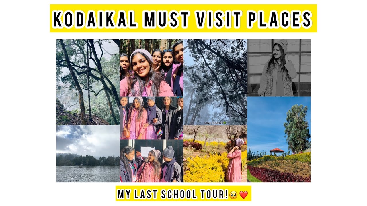 Kodaikanal must visit places📍#gunacave #pineforest #rosegarden #suicidepoint.My last school trip🖤