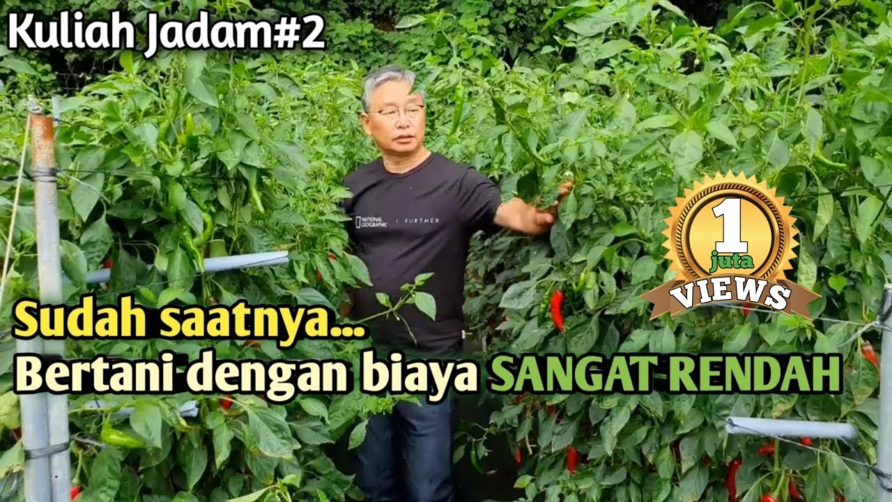 Berhentilah menghabiskan Uang untuk pertanian, Kuliah jadam bagian 2