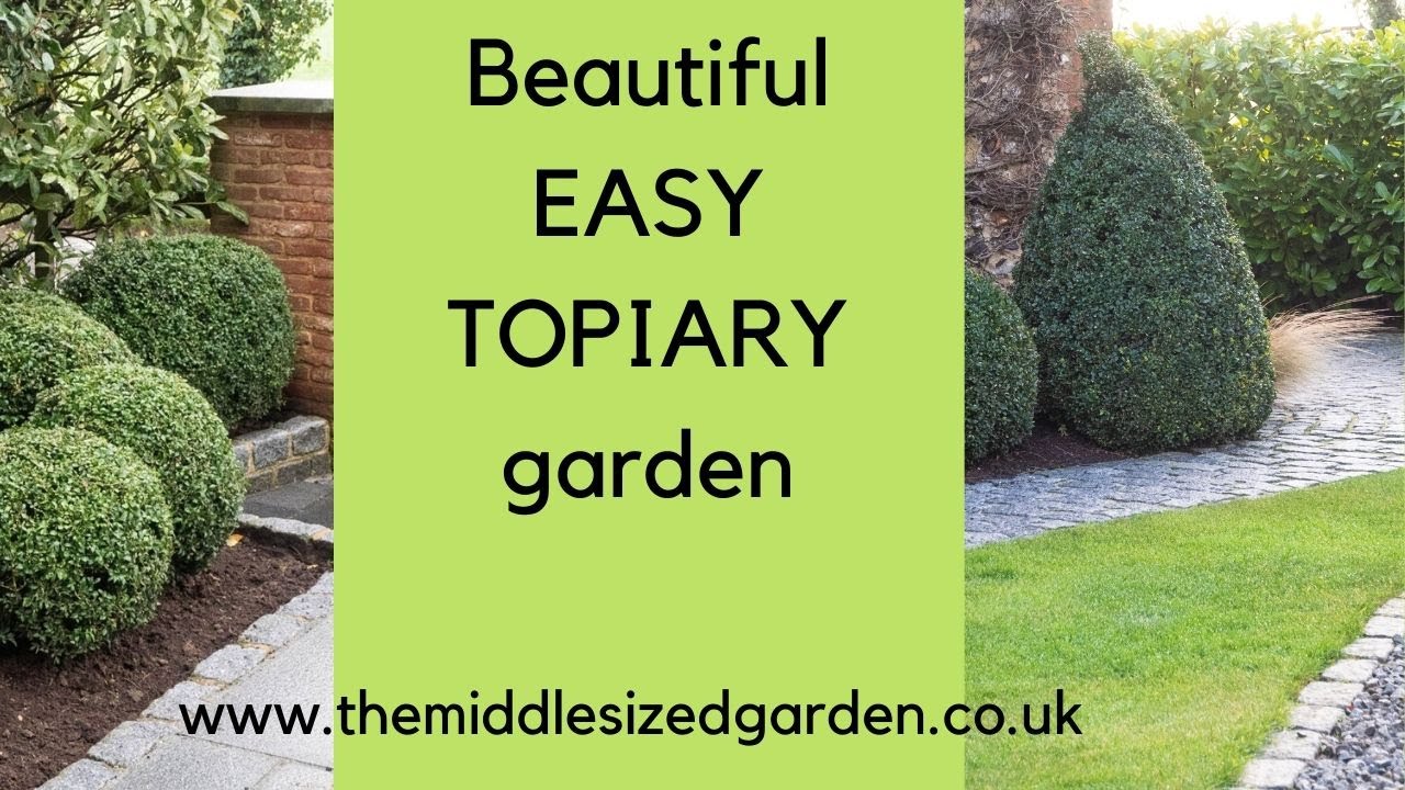 EASY TOPIARY SHAPES for a dramatic and beautiful garden!