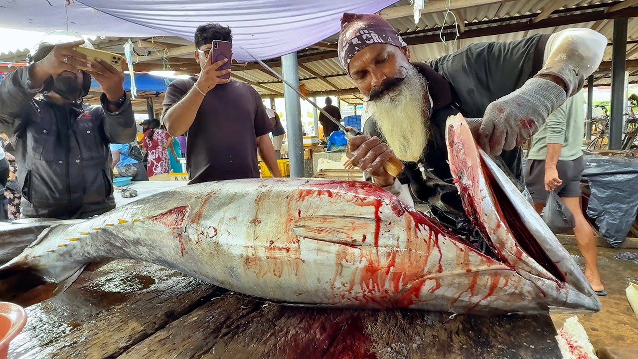Mr Suresh Most Satisfying High-Speed Master Fish Cutting Moments in the Village