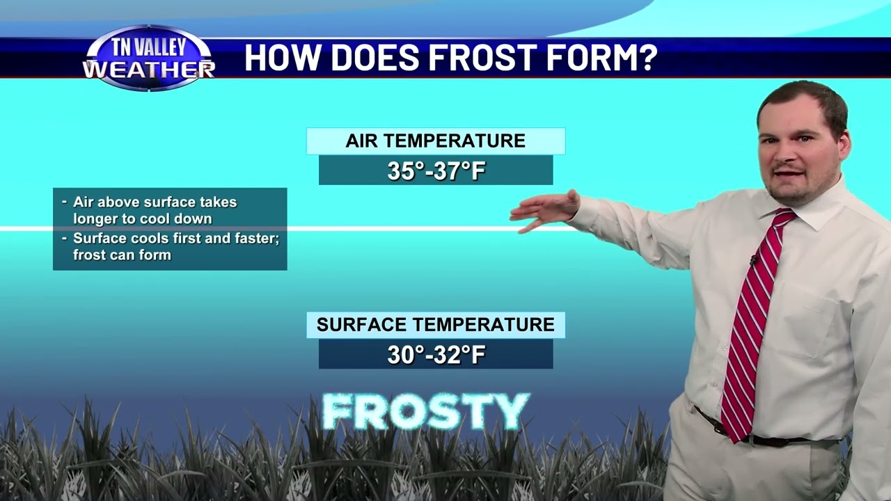 Weather Classroom - Frost