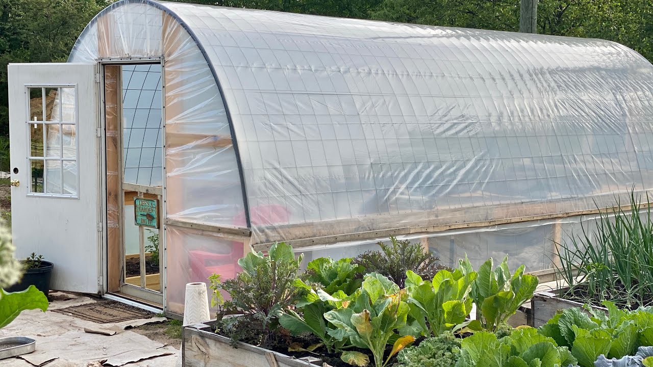 DIY Cattle Panel Hoop House Greenhouse (Cheap & Easy)