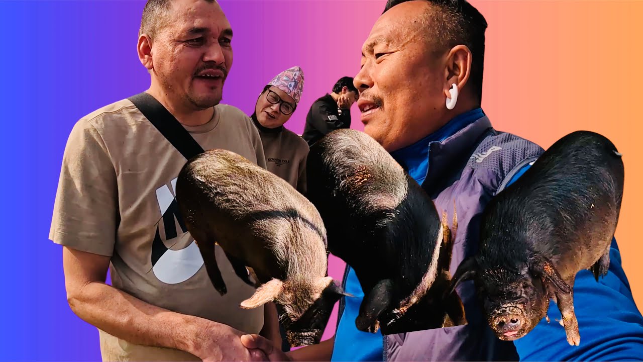 Big from USA i love you all🙏🏻❤️