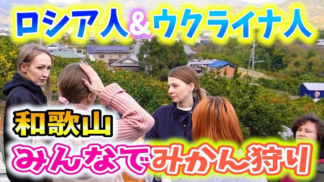 ロシア人とウクライナ人が日本で有名な和歌山の有田みかんをピッキング！ 国際結婚
