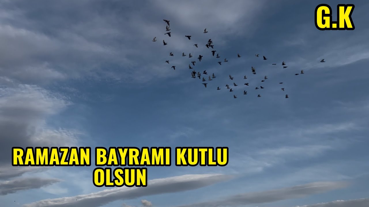 RAMAZAN BAYRAMI HERKESE HUZUR MUTLULUK GETİRMESİ DİLE İLE . #güvercin 