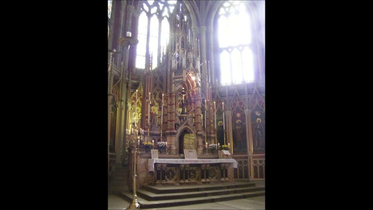 Ushaw MMX 016. Solemn Votive Mass of St Cuthbert. April 2010.