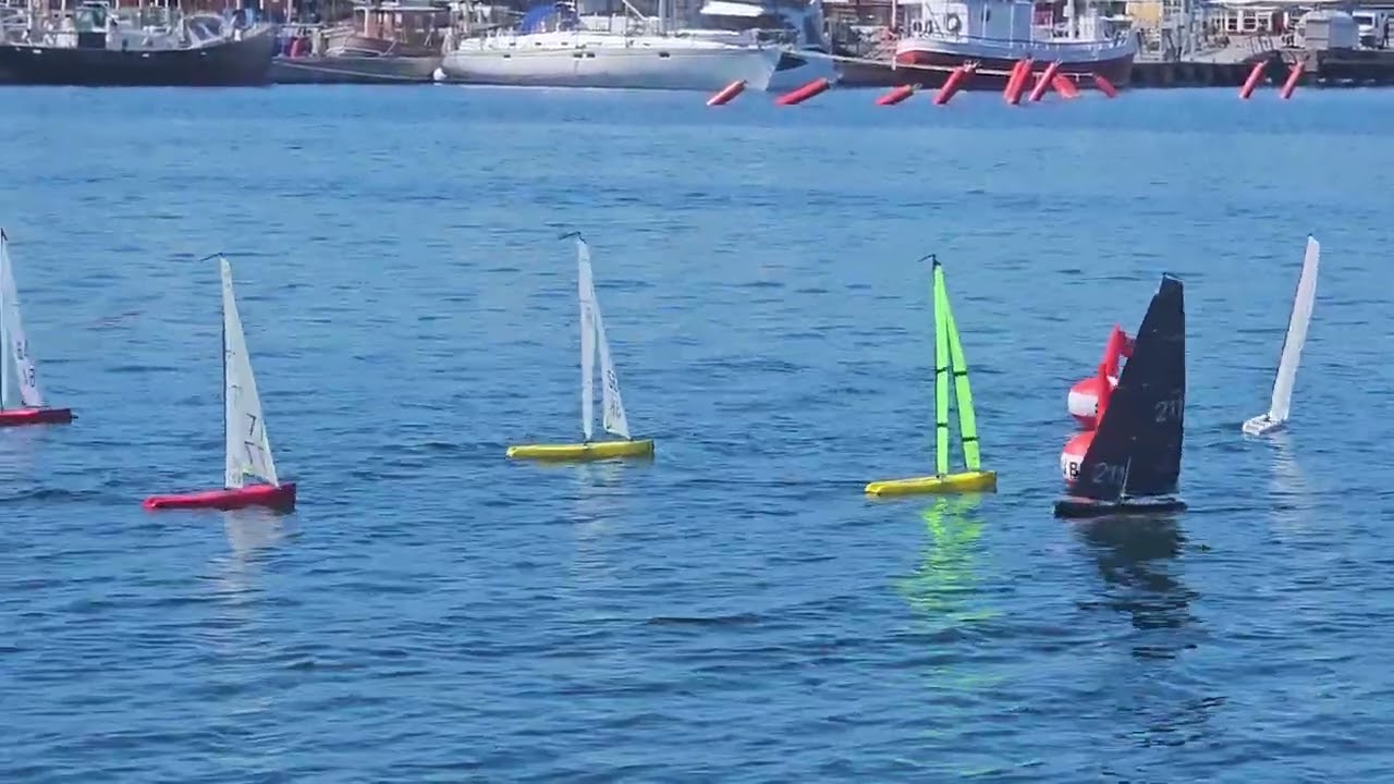 Race 5 1   DF65 GLOBAL WORLD CHAMPIONSHIP 2024