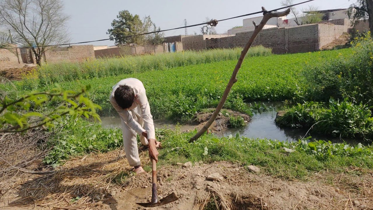 Beautiful Life in Pakistan Village l Village Work routine l Pakistani Village Life Traditions)
