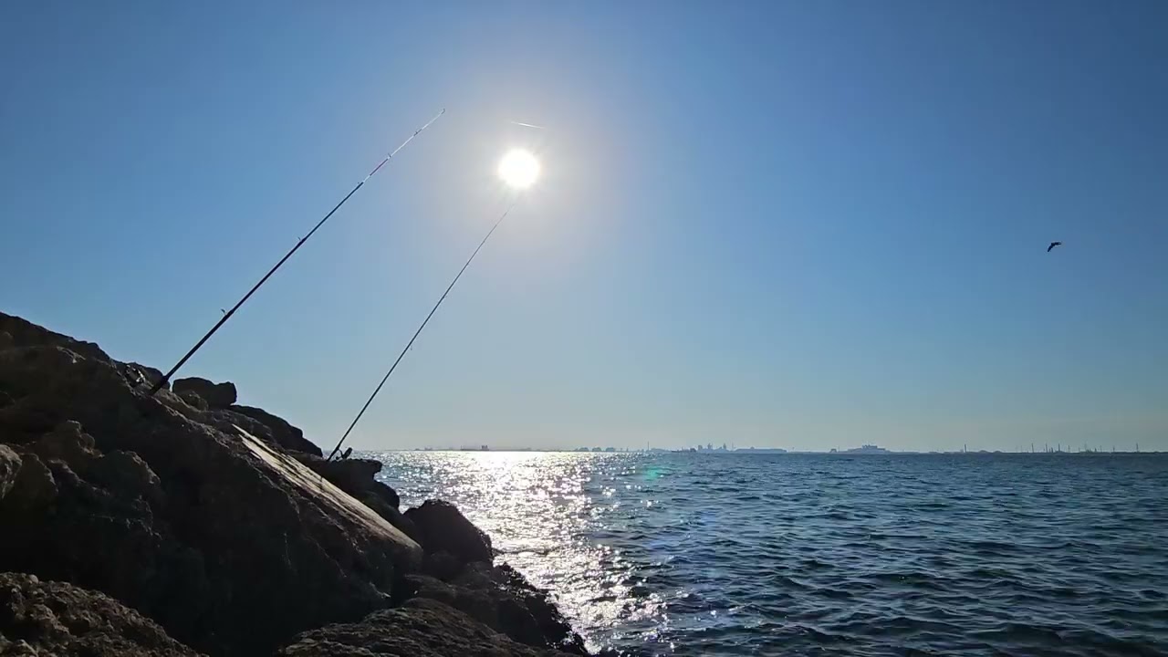 Au bord de l’eau : pêche calme d’été sous le soleil méditerranéen 🌊🎣☀️