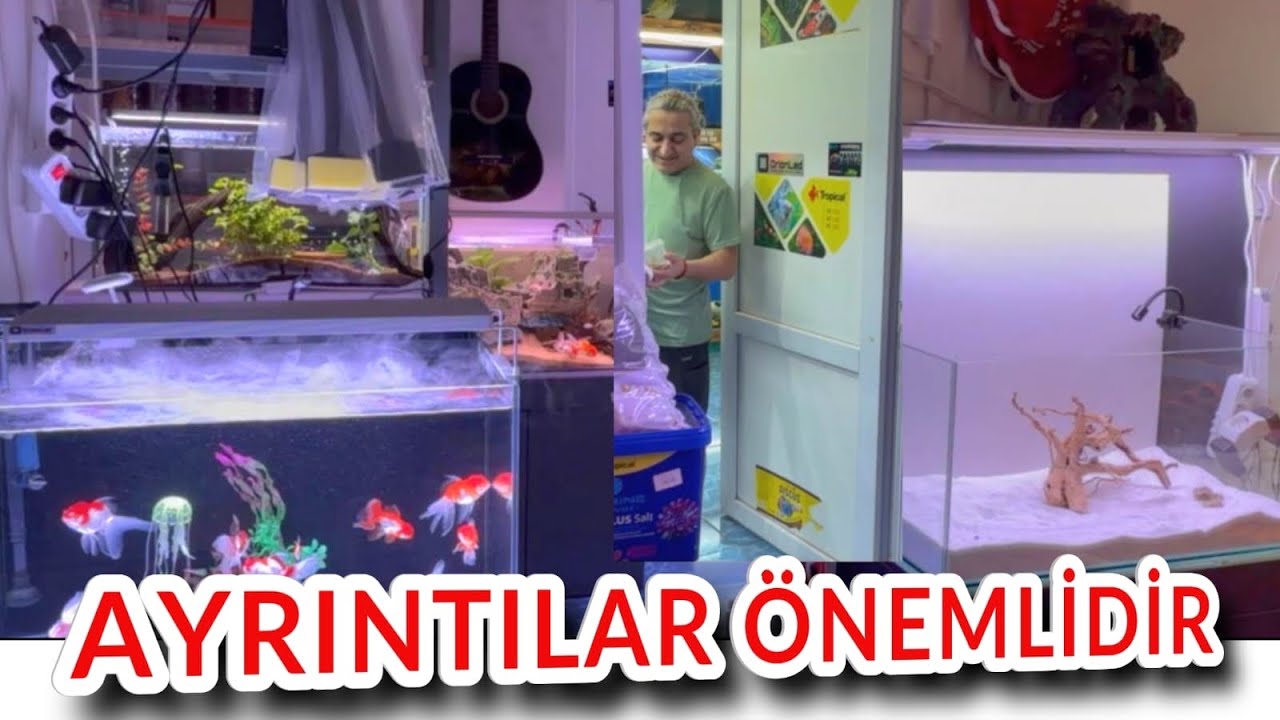 BALIK BESLEMEK VE BAKIMI KOLAYLAŞTIRMAK, akvaryum balıkları