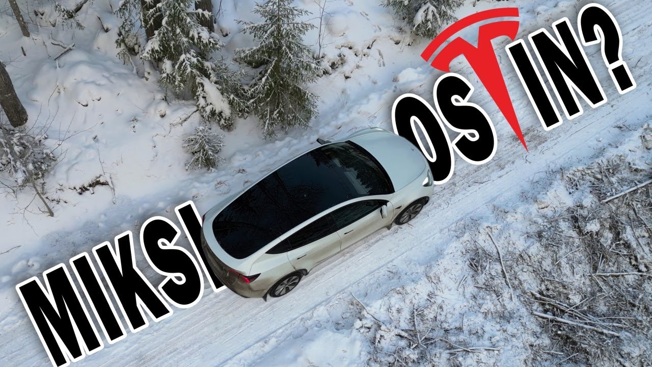 TESLA-HULLUUS leviää? Miksi ostin Model Y:n?