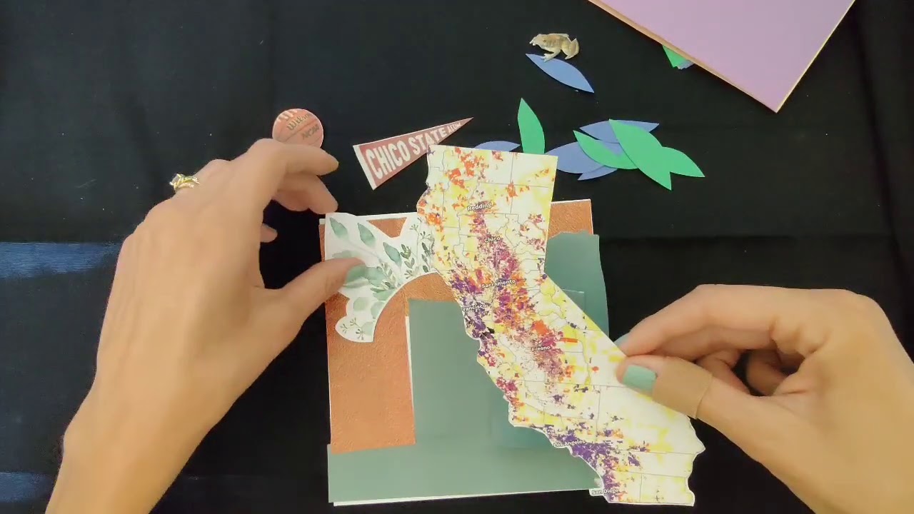 Identity collage project