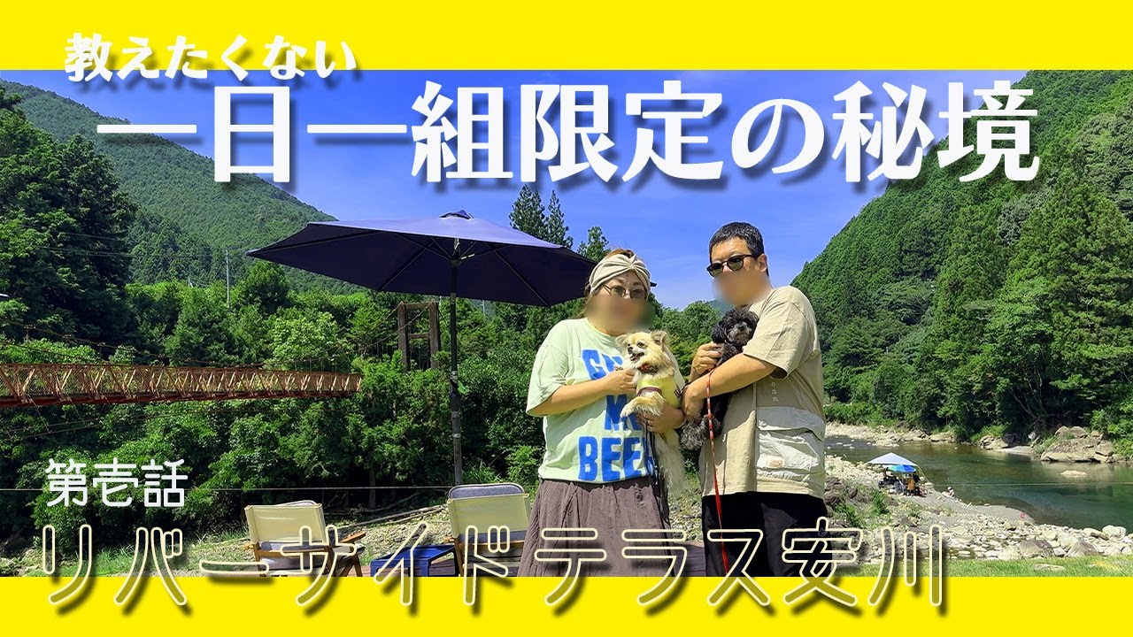 【リバーサイドテラス安川】第壱話 貸切キャンプ場の清流で川遊びしてきましたやで！【関西 和歌山 犬 キャンプ】【チワワ ちわプー】
