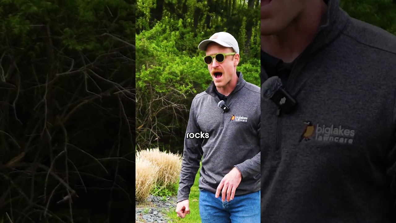 How to Maintain Rock Beds Right!
