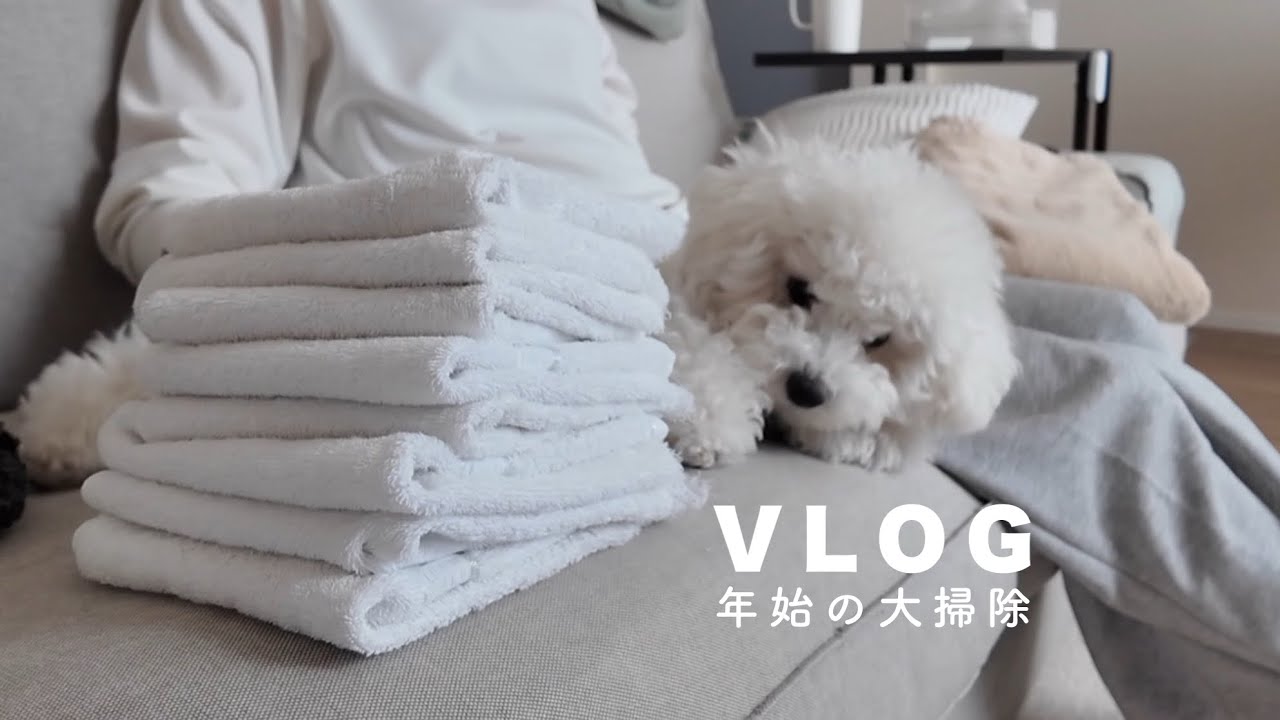 【Vlog】遅くなった大掃除｜犬と夫婦の暮らし｜賃貸2LDKの生活