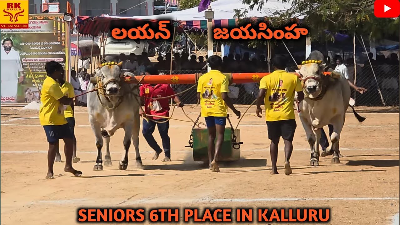 Lion and jayasimha won 6th place in kalluru