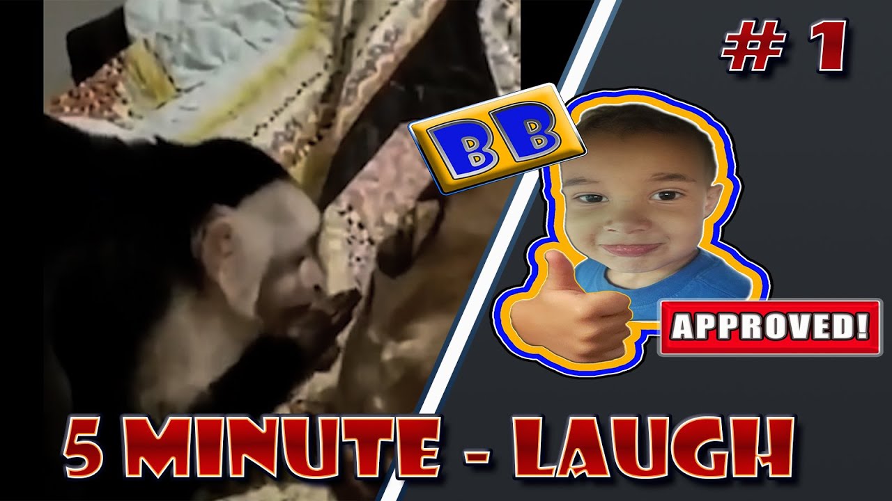 5 Minute Laughs #1 Evo Skits #funny #funnyshorts #funnyvideos #comedyvideos #compilation