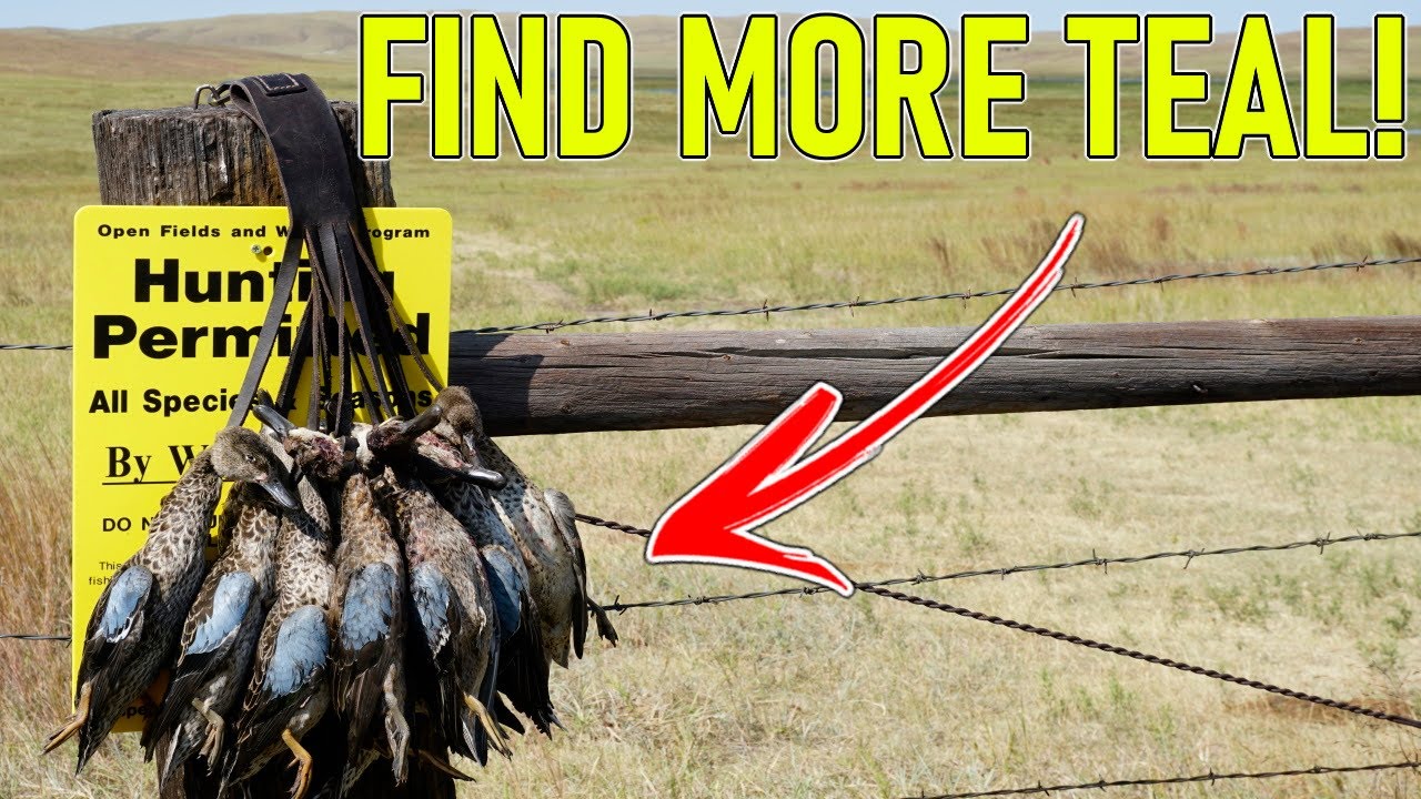Find The BEST SPOTS For TEAL HUNTING! | Hunting Boot Camp