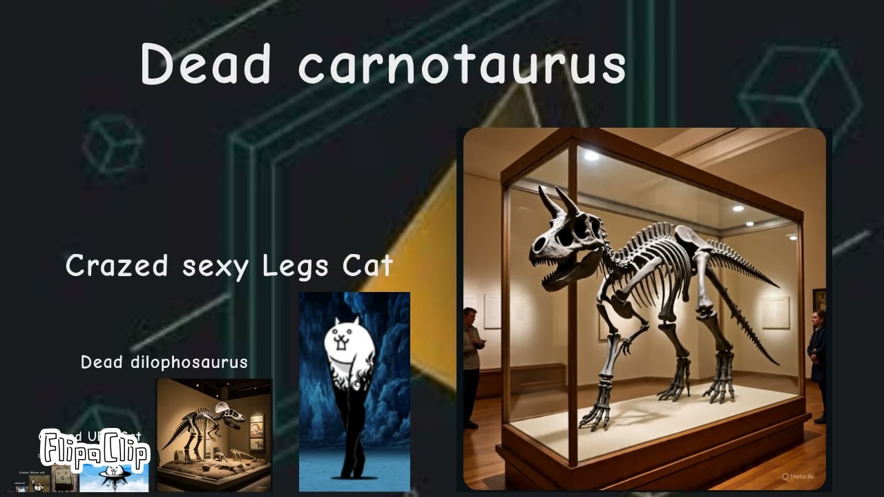 Extinction size Comparison