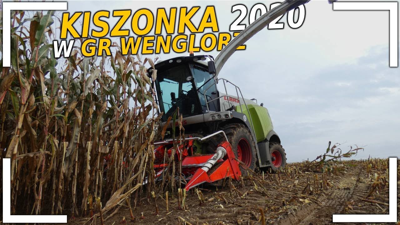 Kiszonka 2020 🌽 w GR Wenglorz 😱☆Claas Jaguar 930 ☆  Fadroma na pryzmie ??☆Najlepsza ekipa !!