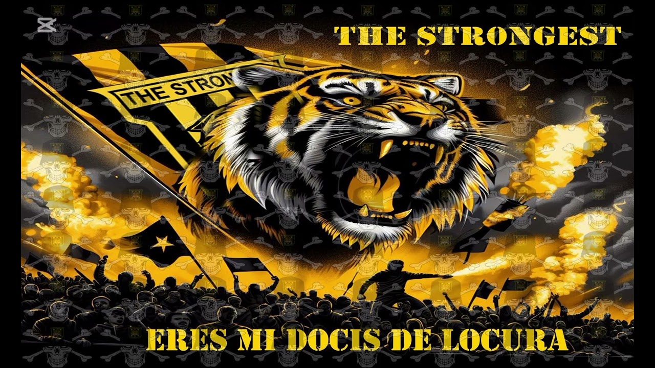 Vamos derribador Somos la hinchada - stronguistas llajta 
