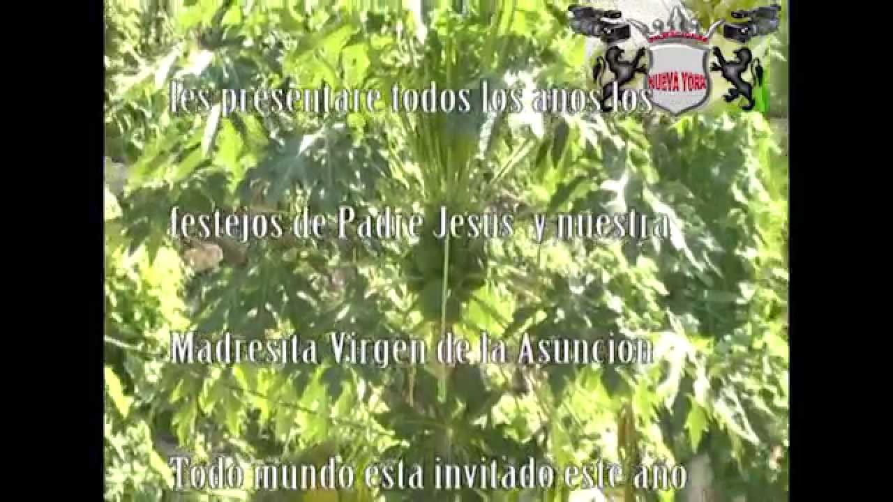 VIRGEN DE LA ASUNCION 2011 TLANCUALPICAN PUEBLA