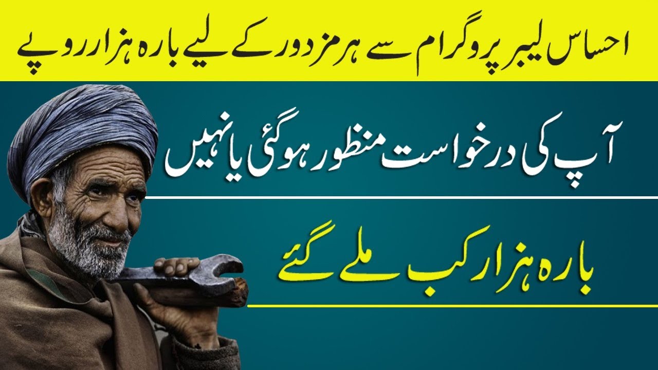 How to check Ehsaas Labour Program Application Status | Ehsaas Labour Program