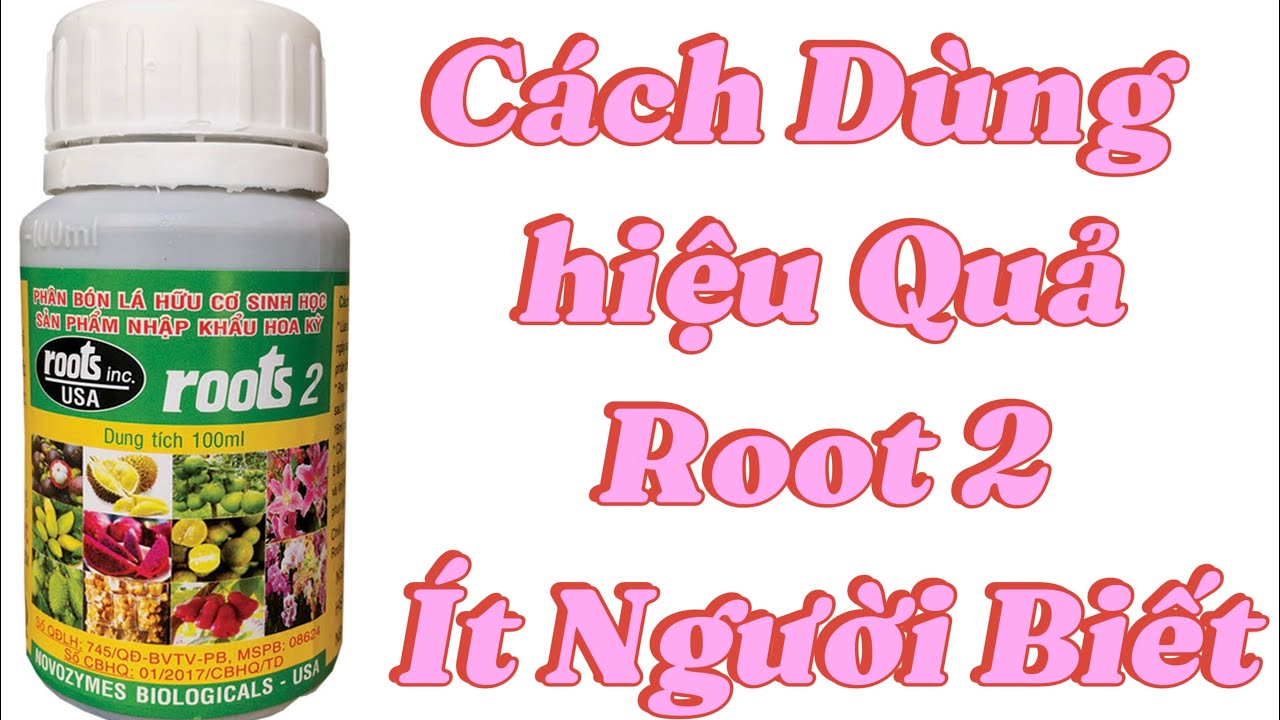 Cách Sử Dụng  Root 2 Hiệu Quả .