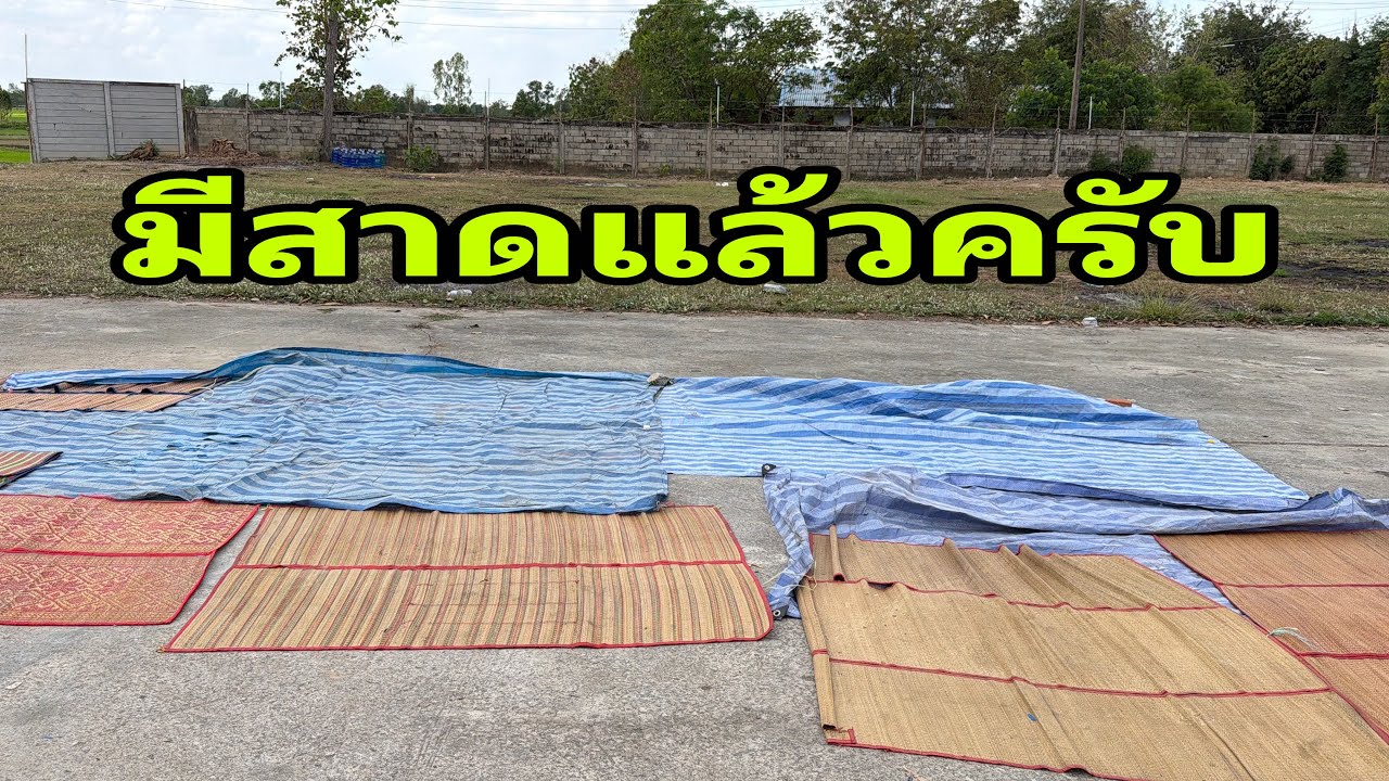 มาถึงกี่คันแล้วครับ#อุ๋งอิ๋งเพชรบ้านแพง 