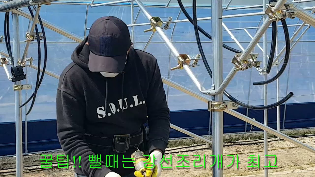 샤인머스켓 점적 관수 초보자 설치 영상