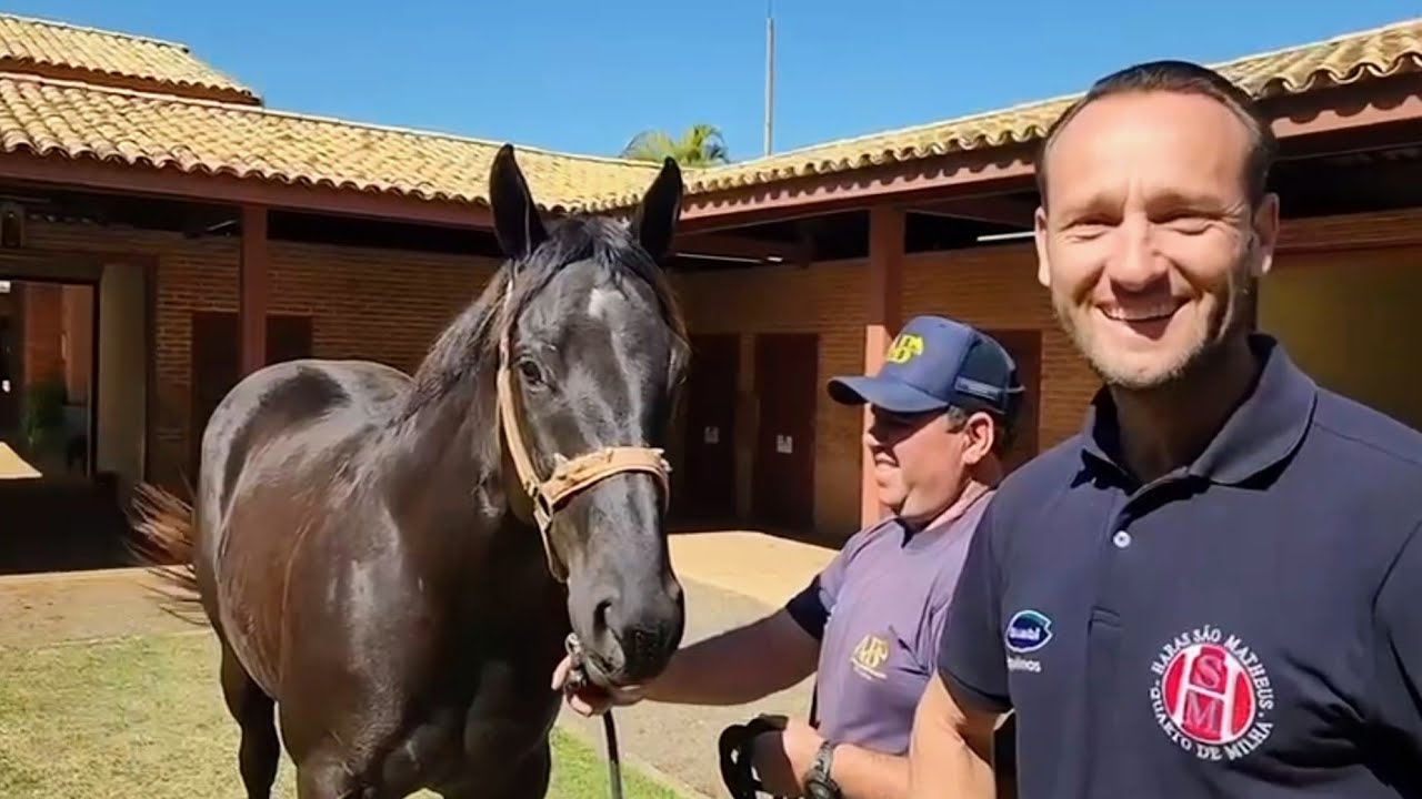 Ep. 022 - Haras São Matheus 