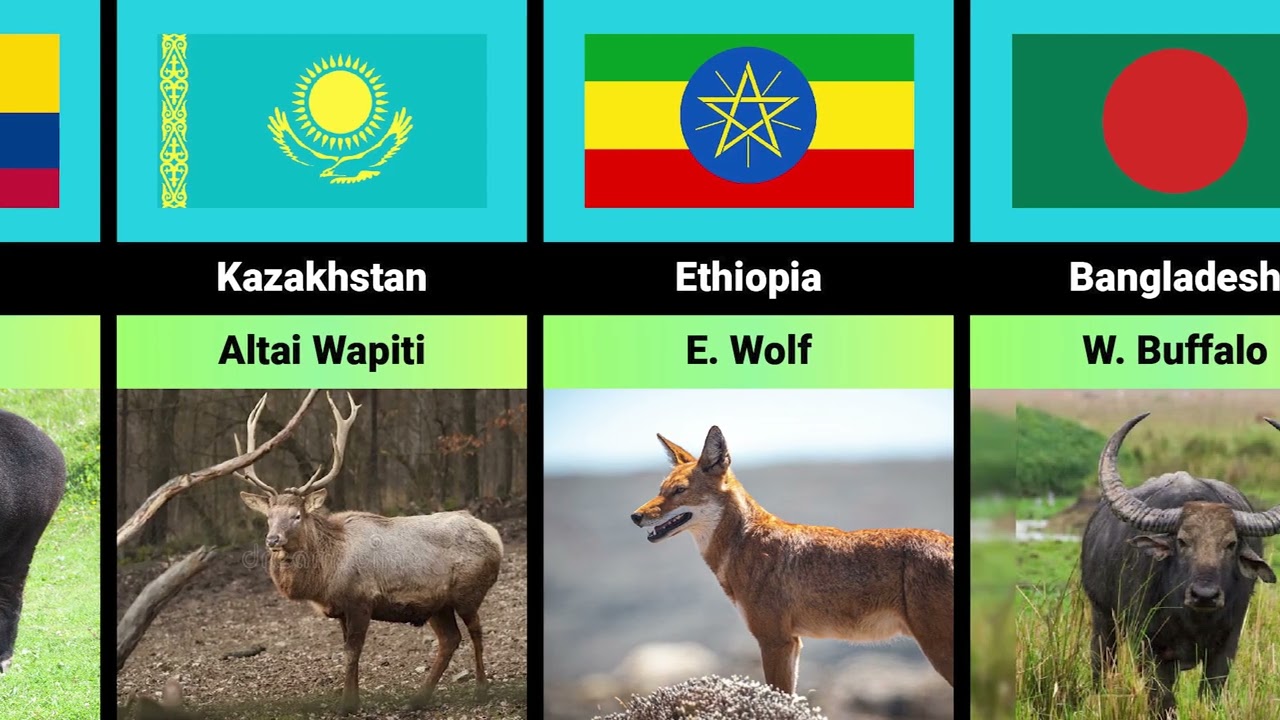 National Animal Symbols of Countries