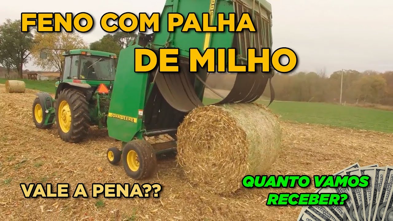 FENO COM PALHADA DO MILHO - VAI DAR PROBLEMA!!! EP-137