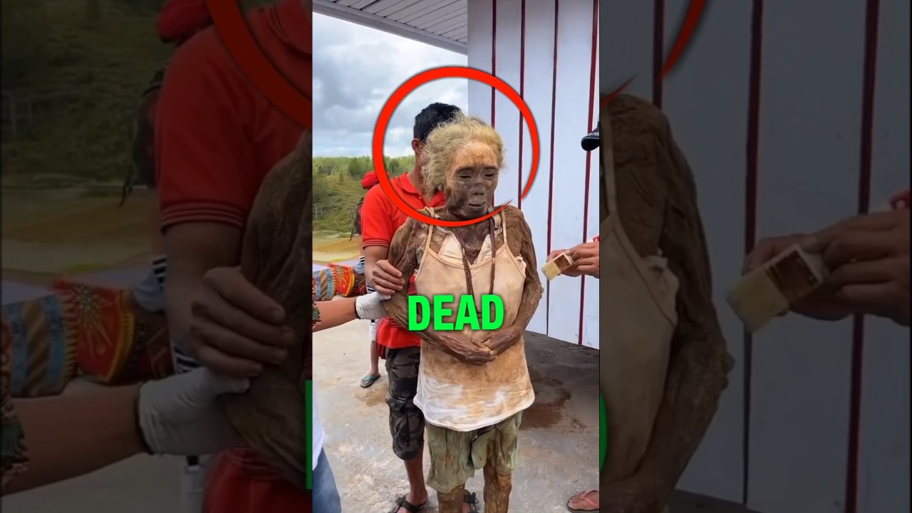Manene Culture in Indonesia #shorts #viralvideo #shortvideo