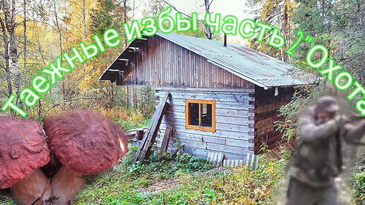 ТАЁЖНЫЕ ИЗБУШКИ ЧАСТЬ ВТОРАЯ В СКОБОЧКАХ ОХОТА НА РЯБЧИКА