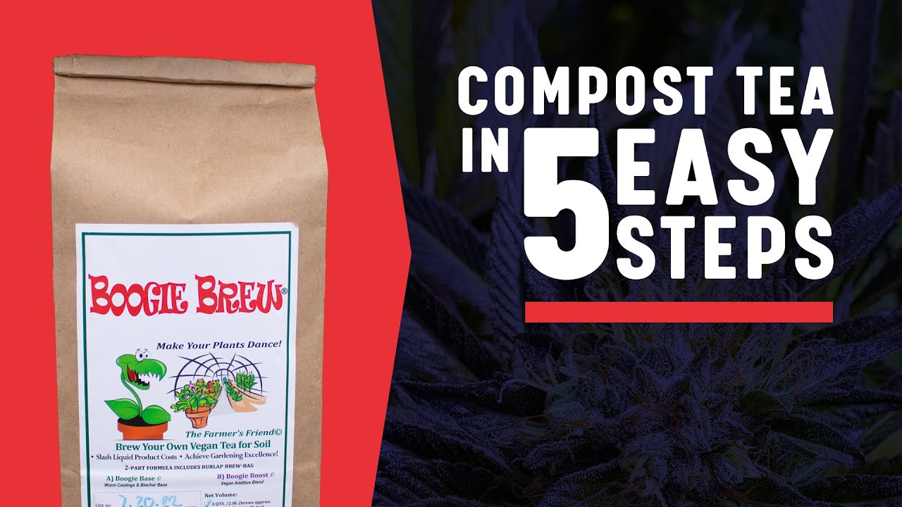 Compost Tea 101 in 5 Easy Steps!  Boogie Brew is Back!