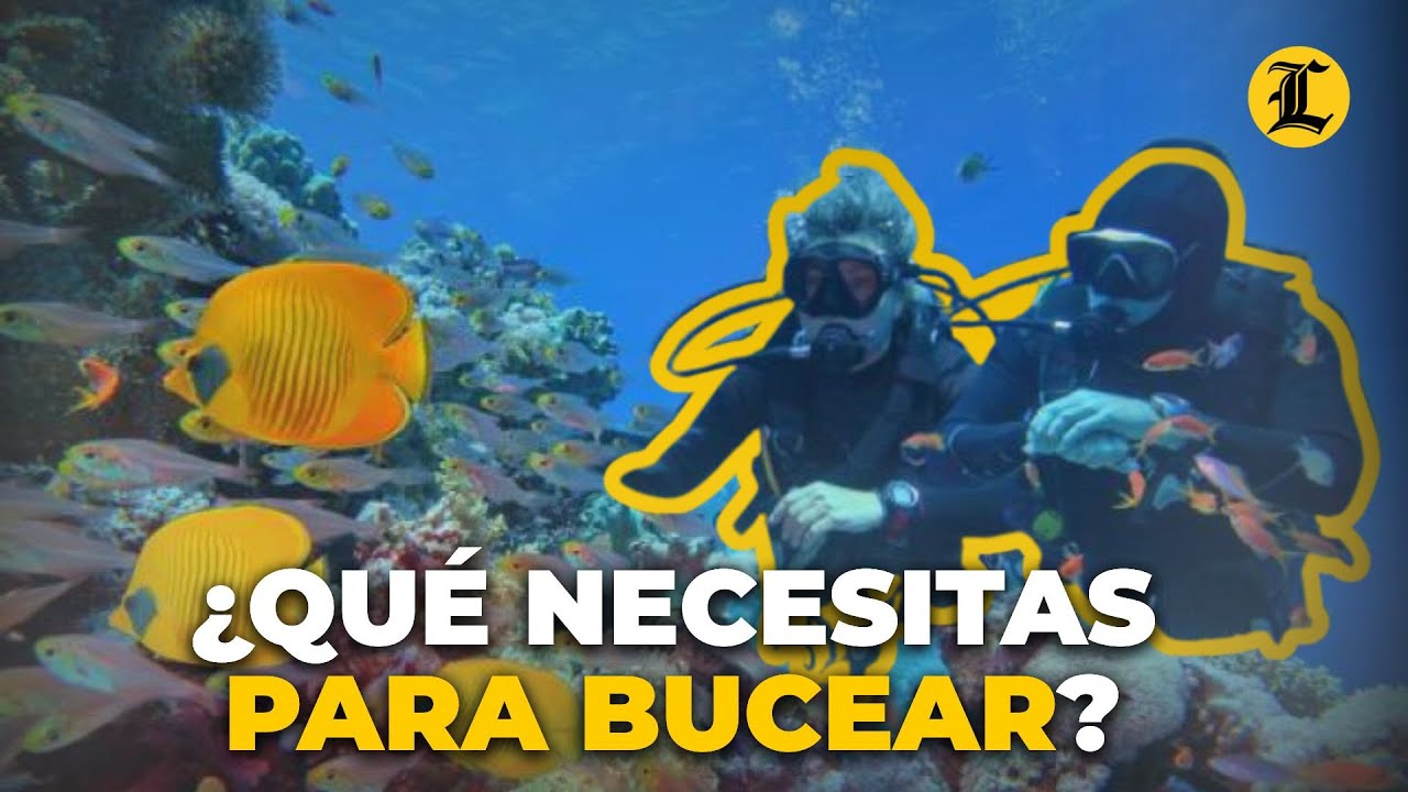 ¿Cuáles son los equipos y las instrucciones que se necesitan para bucear?