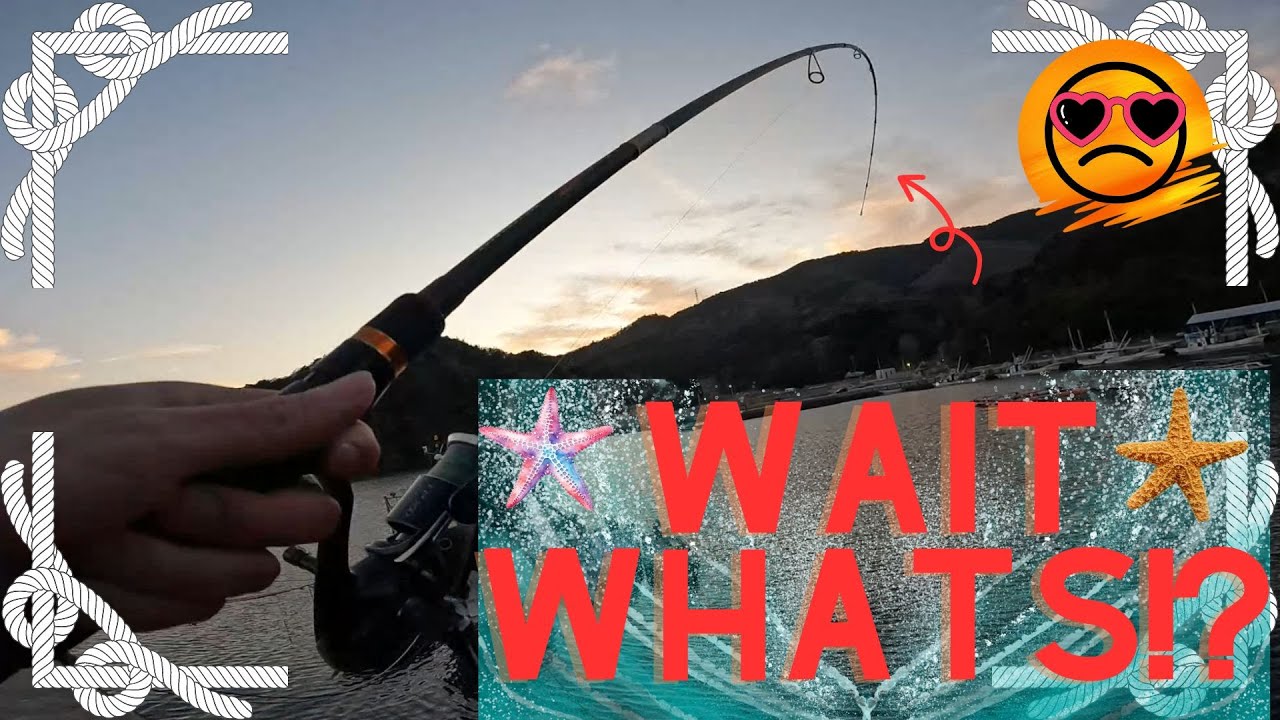 2月中旬　東北ロックフィッシュ　地獄から地獄へ 編