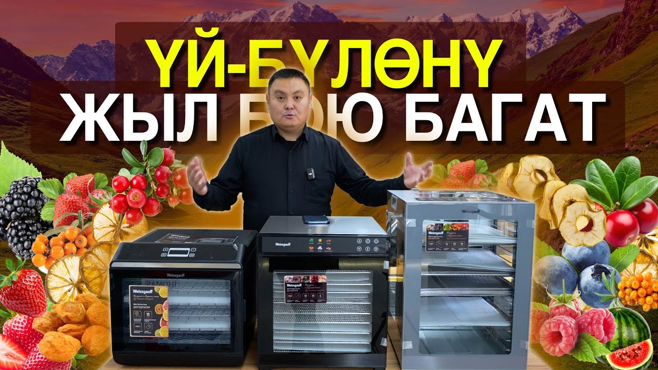 Өнүккөн өлкөлөрдө эмне үчүн ар бир дыйканда бар? Түшүмдү таштабай, үйдө отуруп акча табуунун жолу!