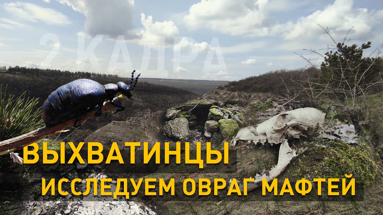 Выхватинцы. Исследуем овраг Мафтей. 2 кадра 29.04.2021