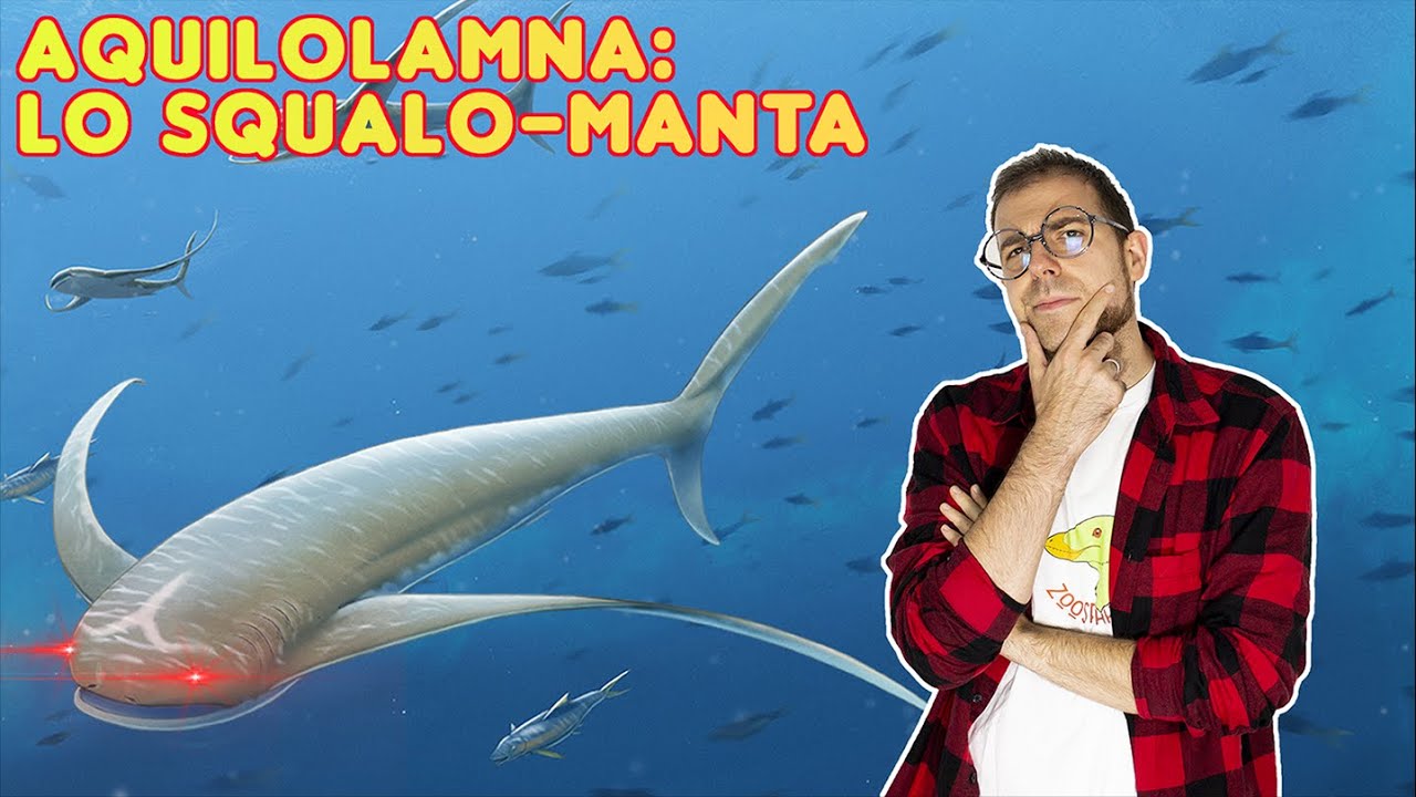 AQUILOLAMNA: lo STRANO SQUALO-MANTA preistorico