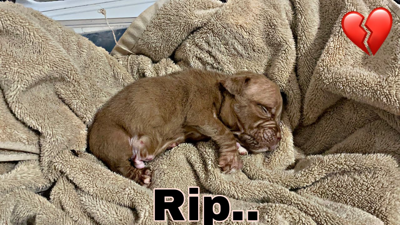 Hes Gone Now…