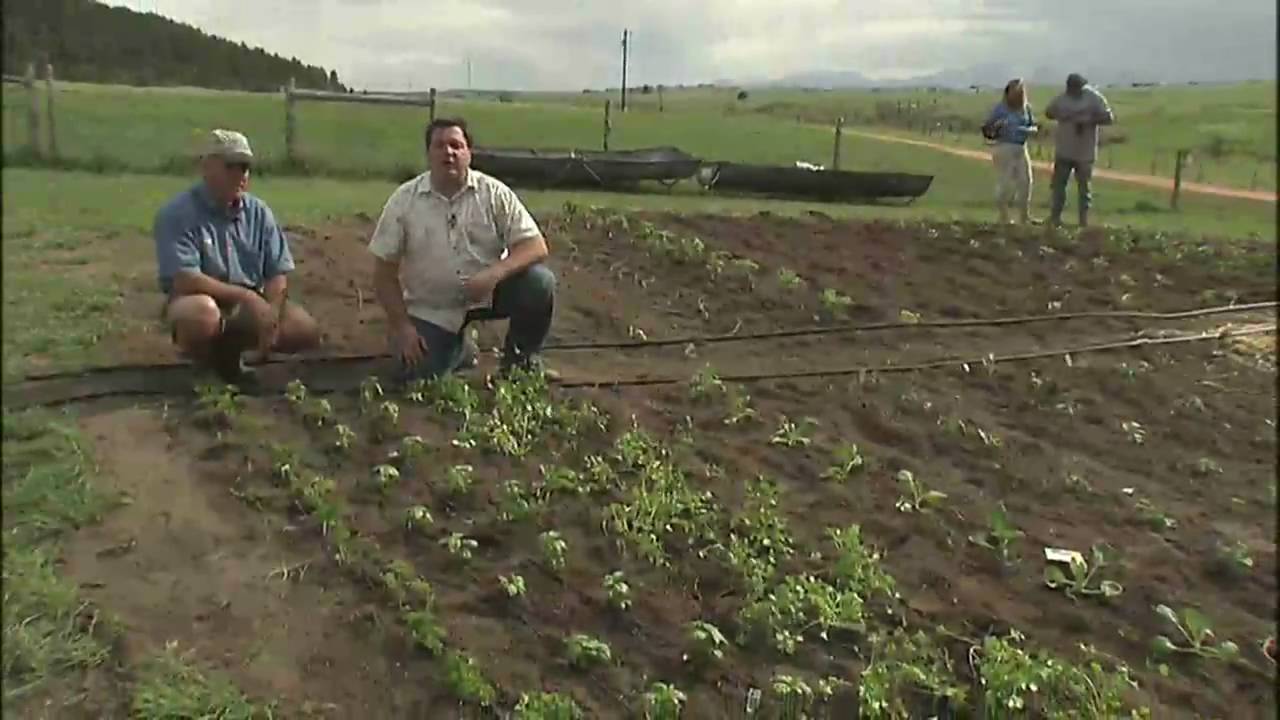 Vegetable Garden Irrigation System