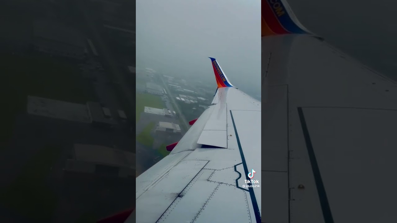 Bird strike on southwest flight