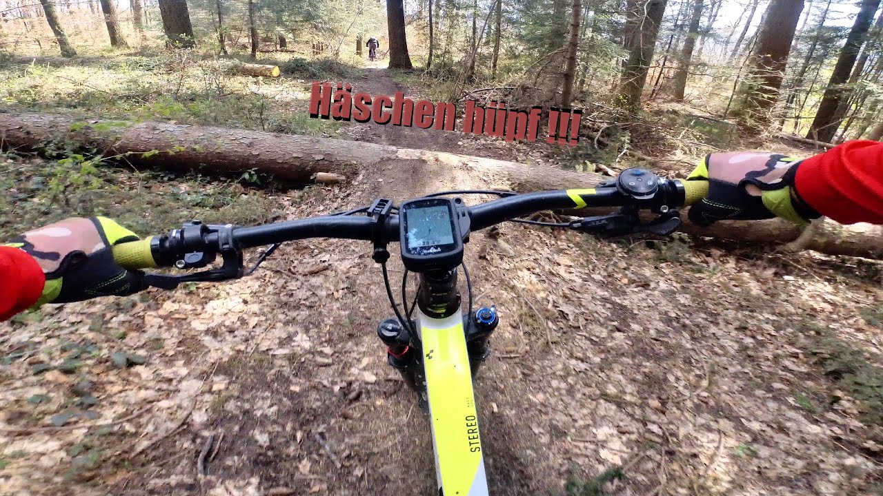 Hasenpfad und hinten noch etwas dran / Insta360 OneR / Cube / Focus