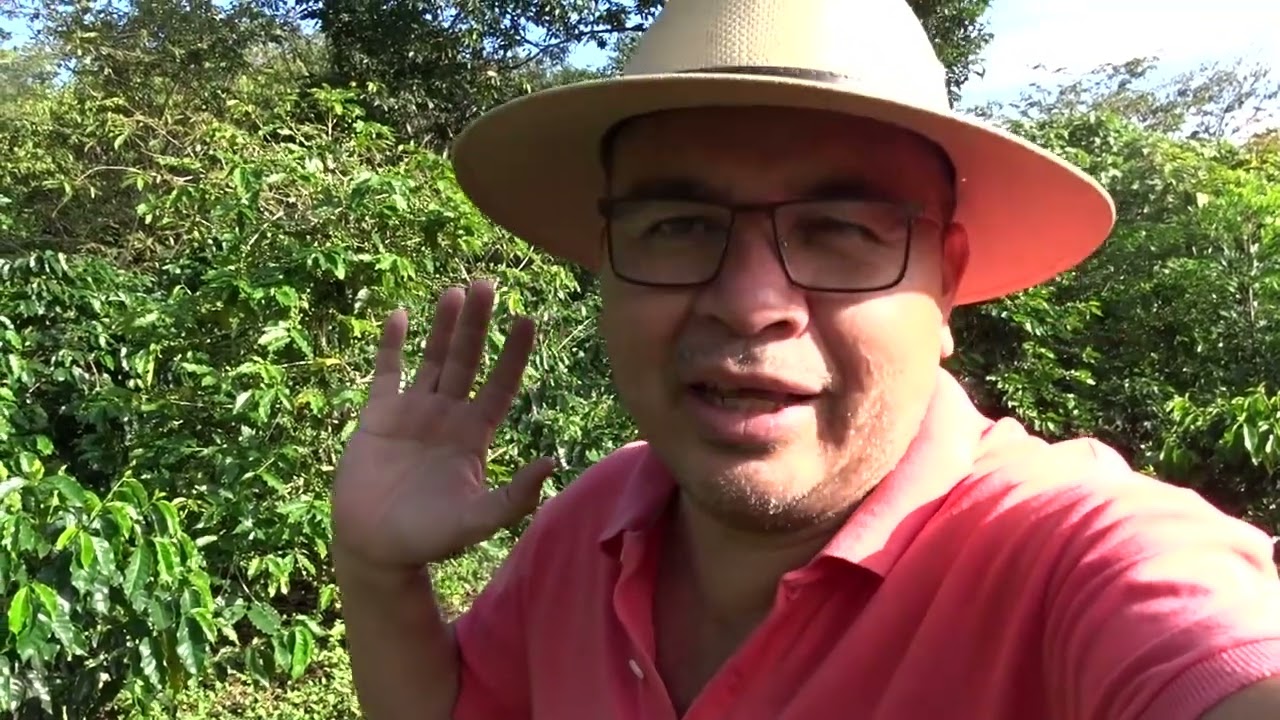 Aplicación de trichoderma hongos benéficos