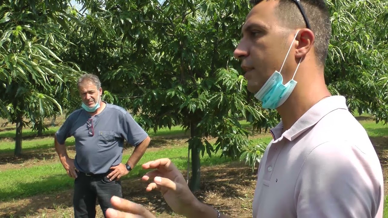 04  Visita Centro Castanicoltura Cuneo 2020
