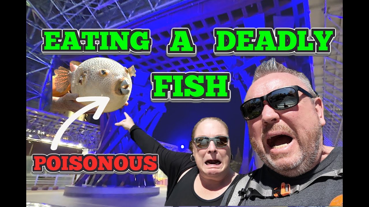 🐡 ☠️ 🤮 Глен съел смертельно опасную рыбу-фугу в Канадзаве!!