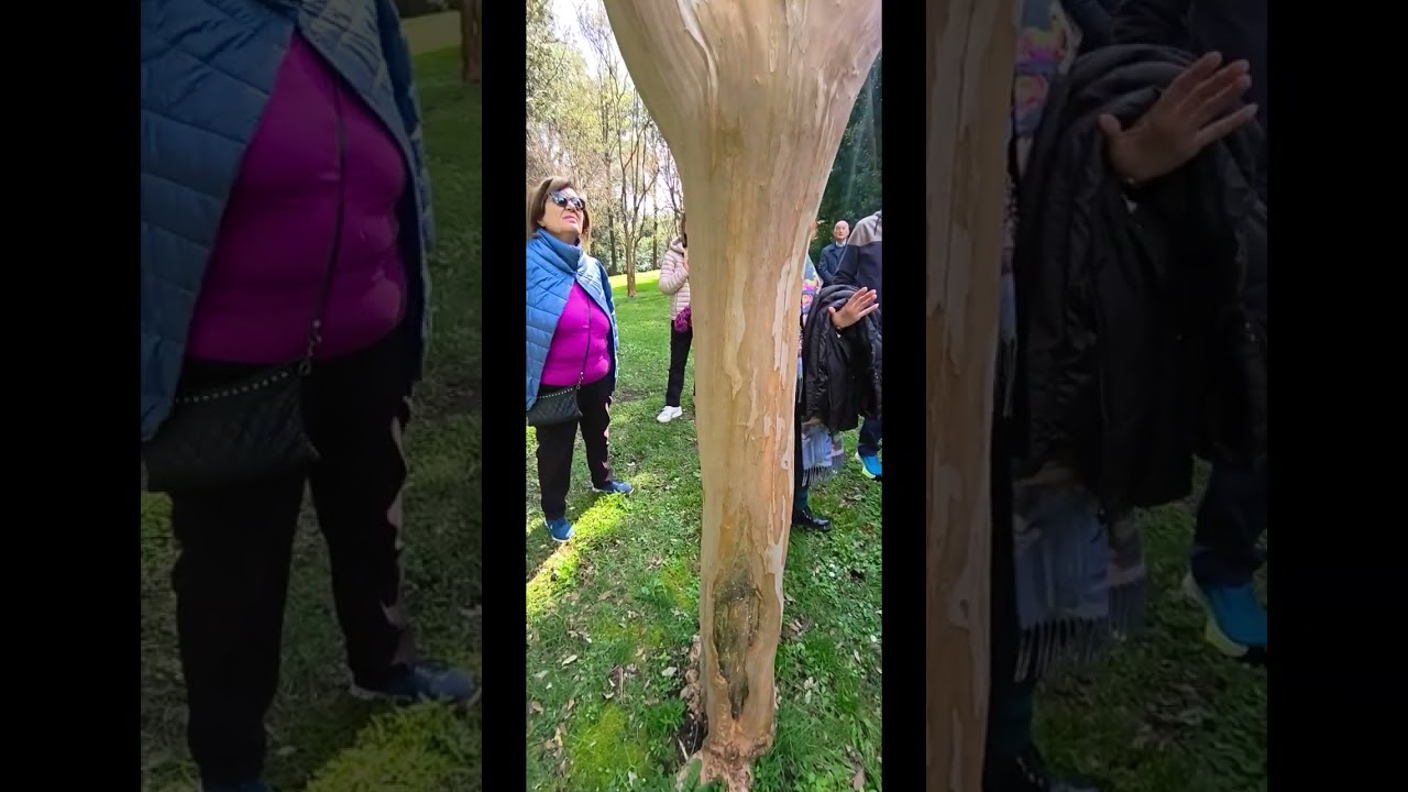 Giornata del Patrimonio 14 marzo 2026 Giardino Inglese Reggia di Caserta 