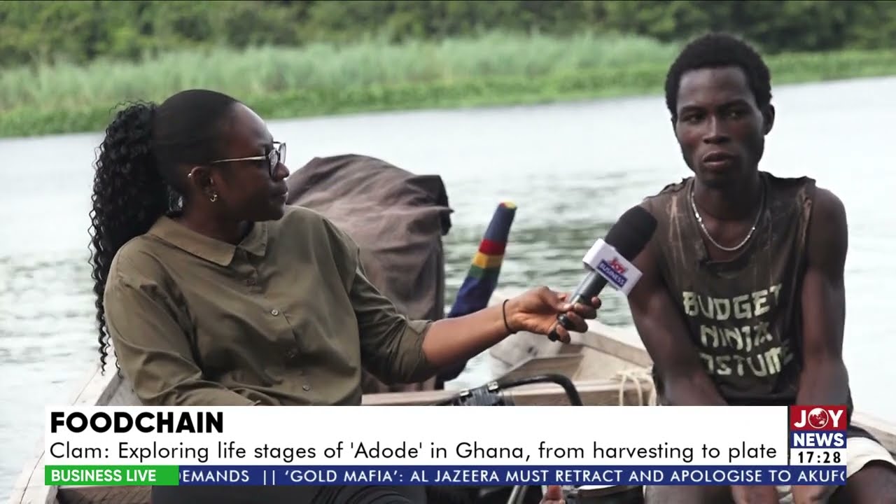 Food Chain: Claim; Exploring life stage of 'Adode' in Ghana, from harvesting to plate